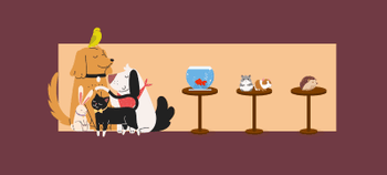 Pet