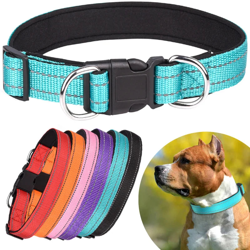 Coleira Reflexiva Premium para Cães – Segurança, Conforto e Estilo em Cada Passeio!