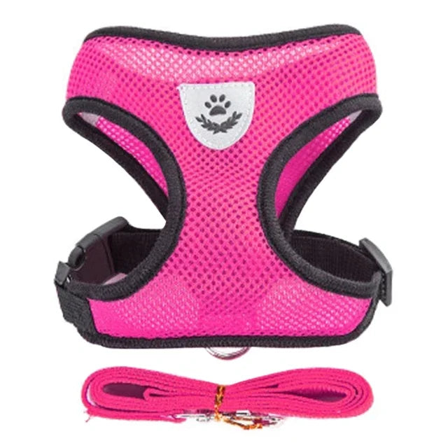 Coleira Peitoral Ajustável para Gatos — Conforto, Segurança e Estilo em Cada Passeio!