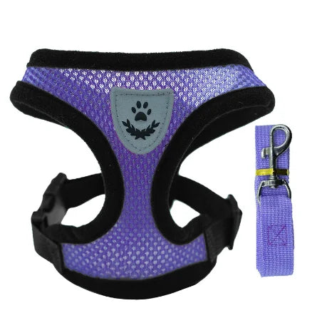 Coleira Peitoral Ajustável para Gatos — Conforto, Segurança e Estilo em Cada Passeio!