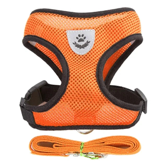 Coleira Peitoral Ajustável para Gatos — Conforto, Segurança e Estilo em Cada Passeio!