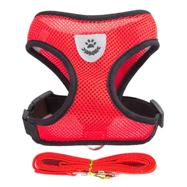 Coleira Peitoral Ajustável para Gatos — Conforto, Segurança e Estilo em Cada Passeio!