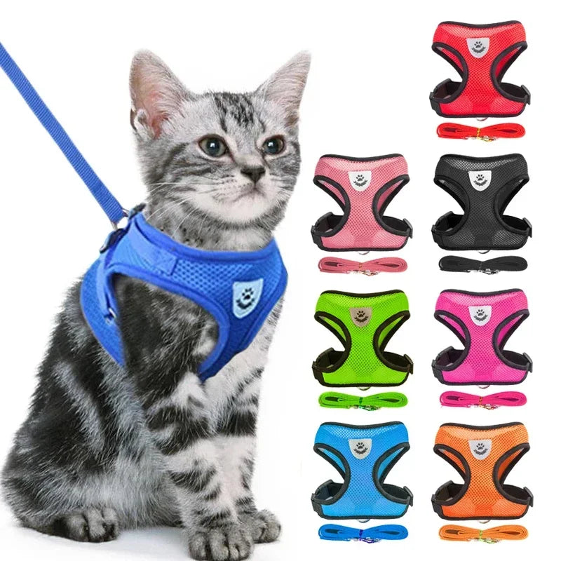 Coleira Peitoral Ajustável para Gatos — Conforto, Segurança e Estilo em Cada Passeio!
