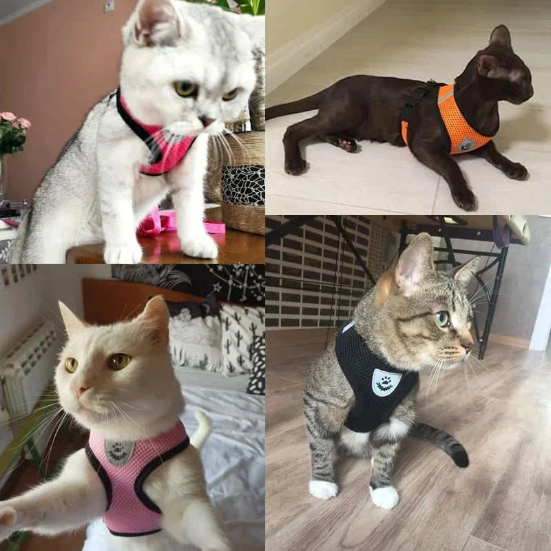 Coleira Peitoral Ajustável para Gatos — Conforto, Segurança e Estilo em Cada Passeio!