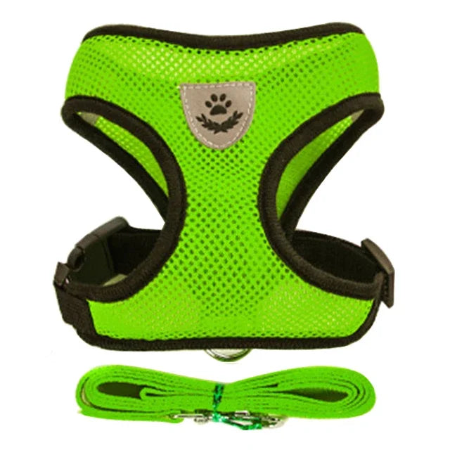 Coleira Peitoral Ajustável para Gatos — Conforto, Segurança e Estilo em Cada Passeio!