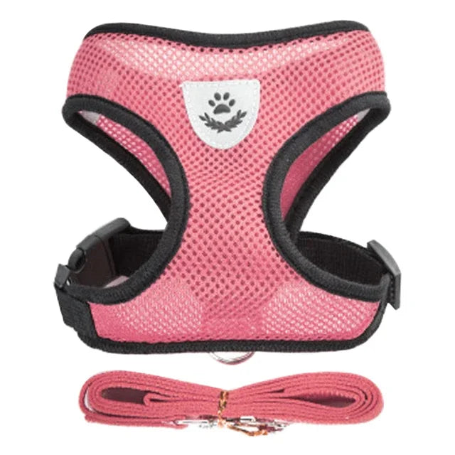 Coleira Peitoral Ajustável para Gatos — Conforto, Segurança e Estilo em Cada Passeio!