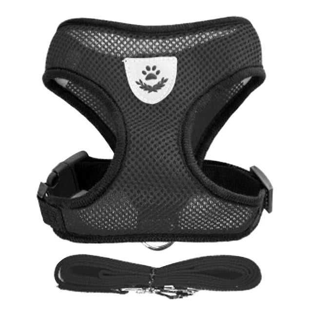 Coleira Peitoral Ajustável para Gatos — Conforto, Segurança e Estilo em Cada Passeio!