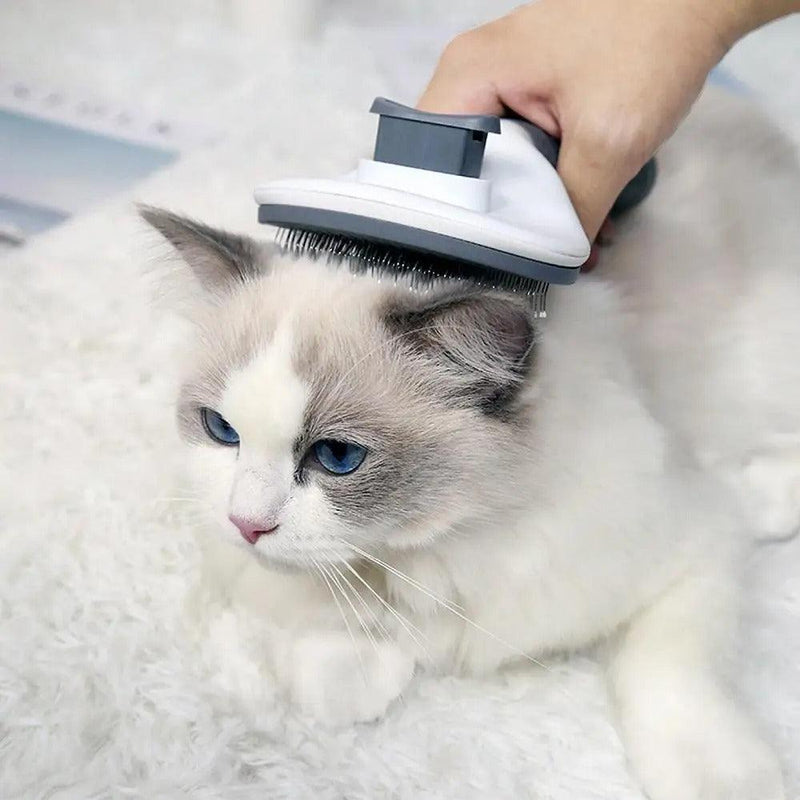 Escova Automática Remoção de Pelos